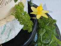 Cheese Wedding Cake Construction - Decoration 6