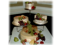 Cheese Wedding Cake Examples 8